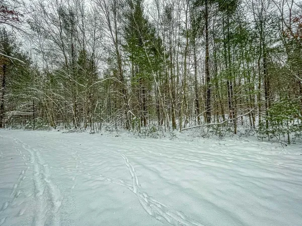 $227,900 | 1007 Necedah Road, Babcock, WI 54413