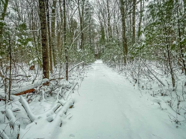 $227,900 | 1007 Necedah Road, Babcock, WI 54413