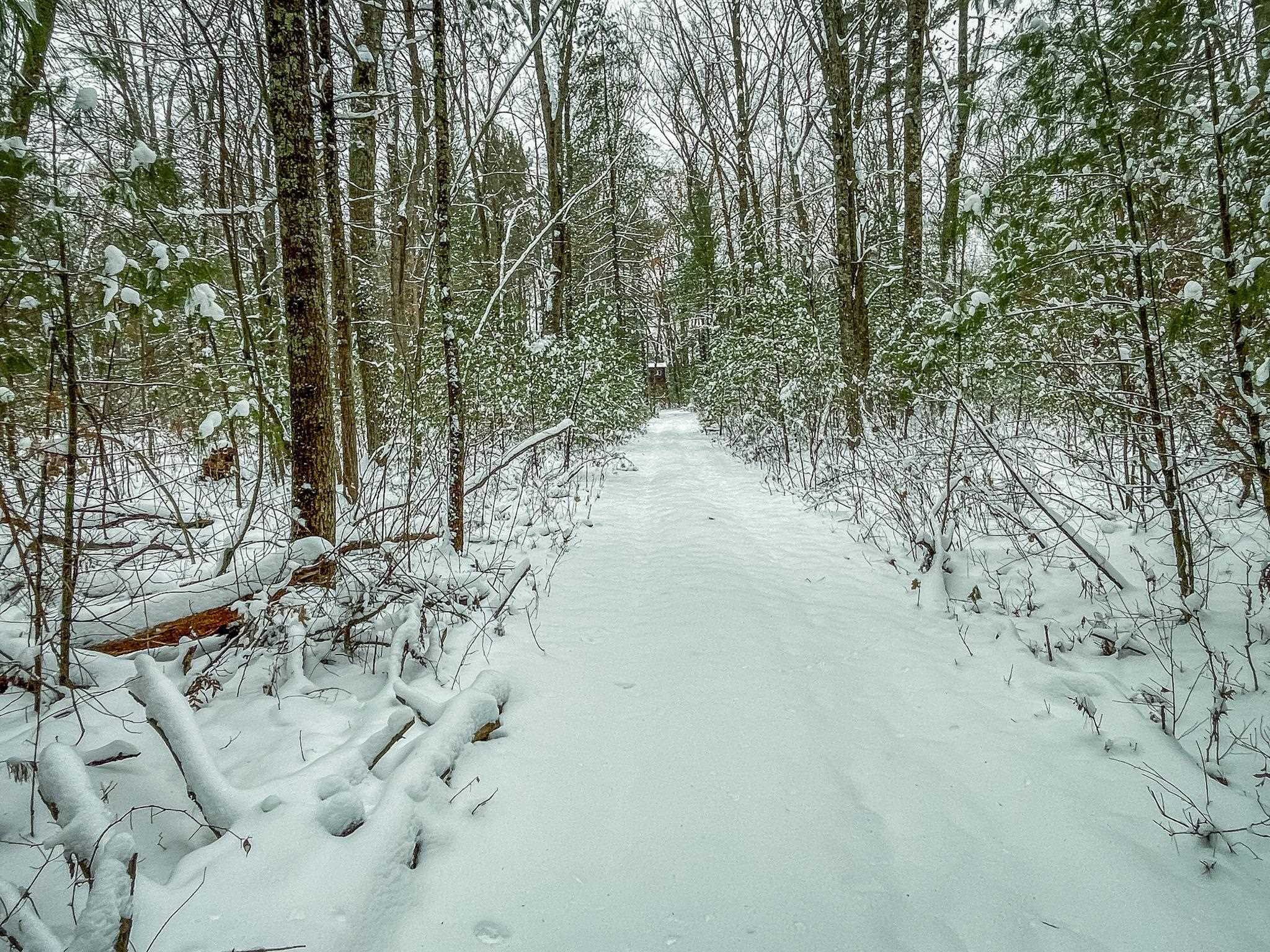 1007 Necedah Road Babcock, WI 54413 - Photo 12 of 51