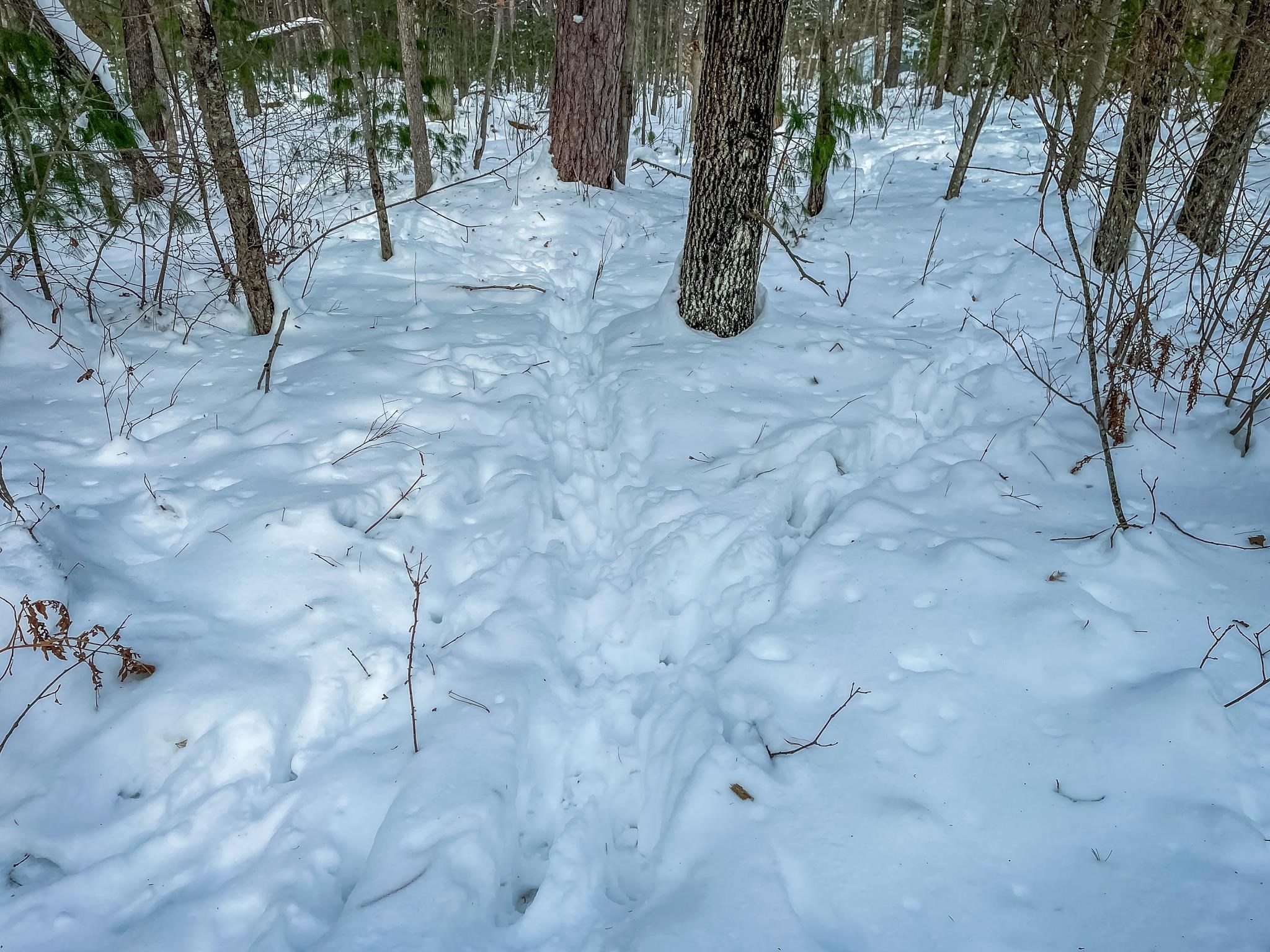 1007 Necedah Road Babcock, WI 54413 - Photo 31 of 51