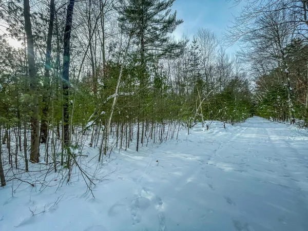 $227,900 | 1007 Necedah Road, Babcock, WI 54413