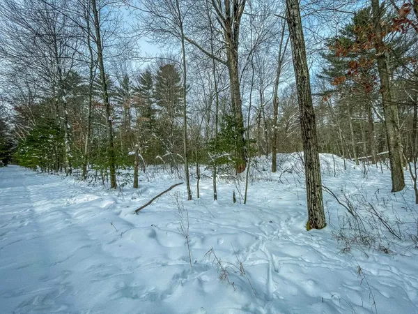 $227,900 | 1007 Necedah Road, Babcock, WI 54413