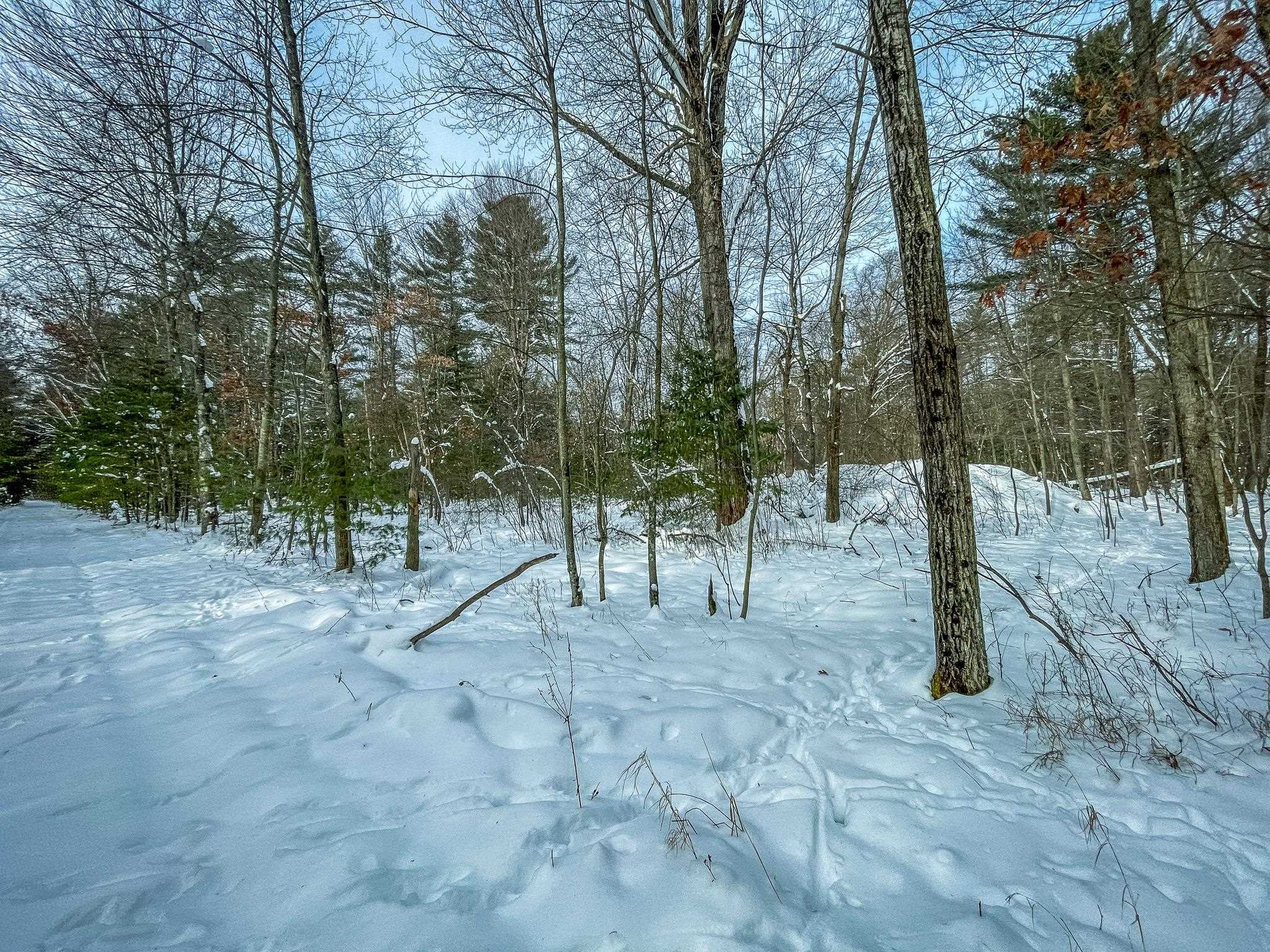 1007 Necedah Road Babcock, WI 54413 - Photo 34 of 51