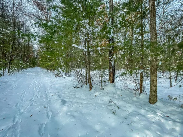 $227,900 | 1007 Necedah Road, Babcock, WI 54413