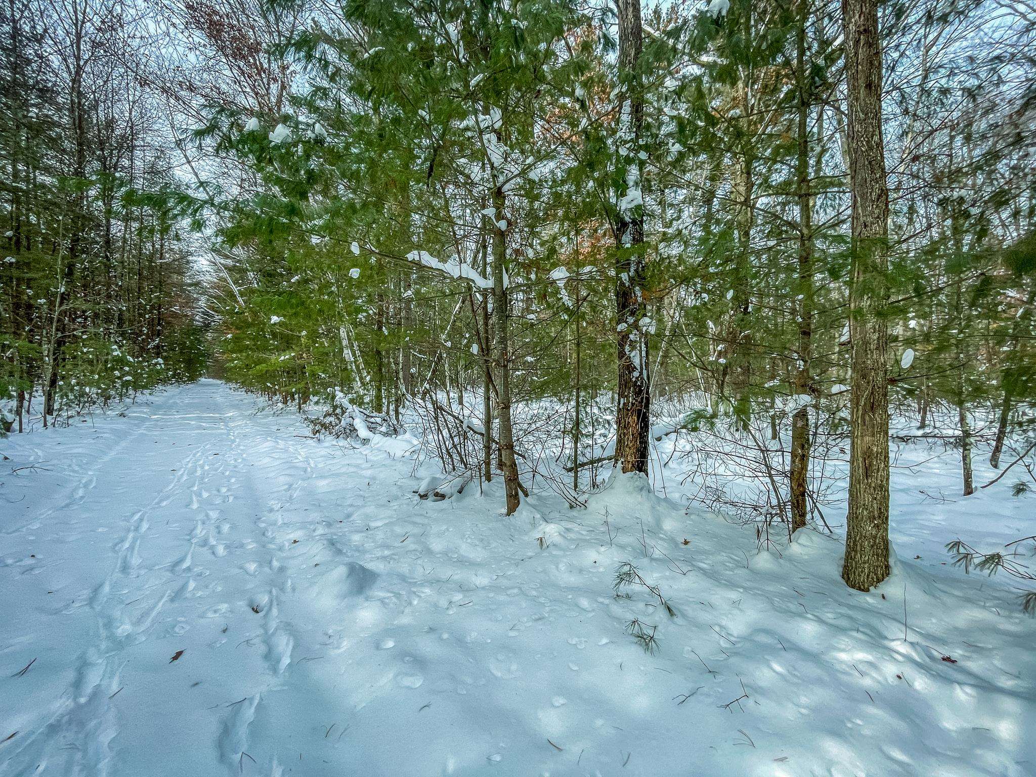 1007 Necedah Road Babcock, WI 54413 - Photo 35 of 51