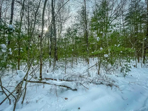 $227,900 | 1007 Necedah Road, Babcock, WI 54413