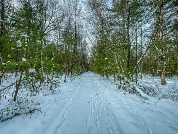 $227,900 | 1007 Necedah Road, Babcock, WI 54413