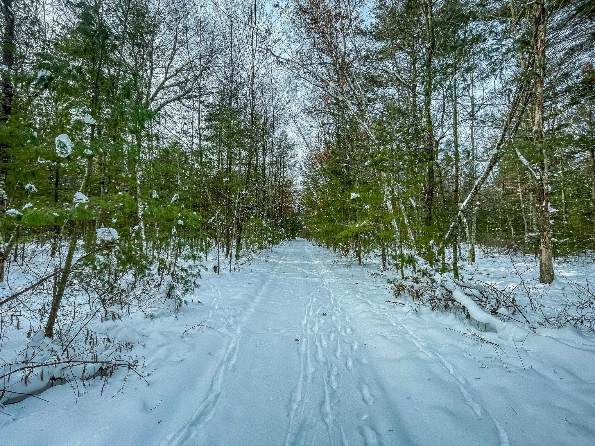 1007 Necedah Road Babcock, WI 54413 - Photo 37 of 51