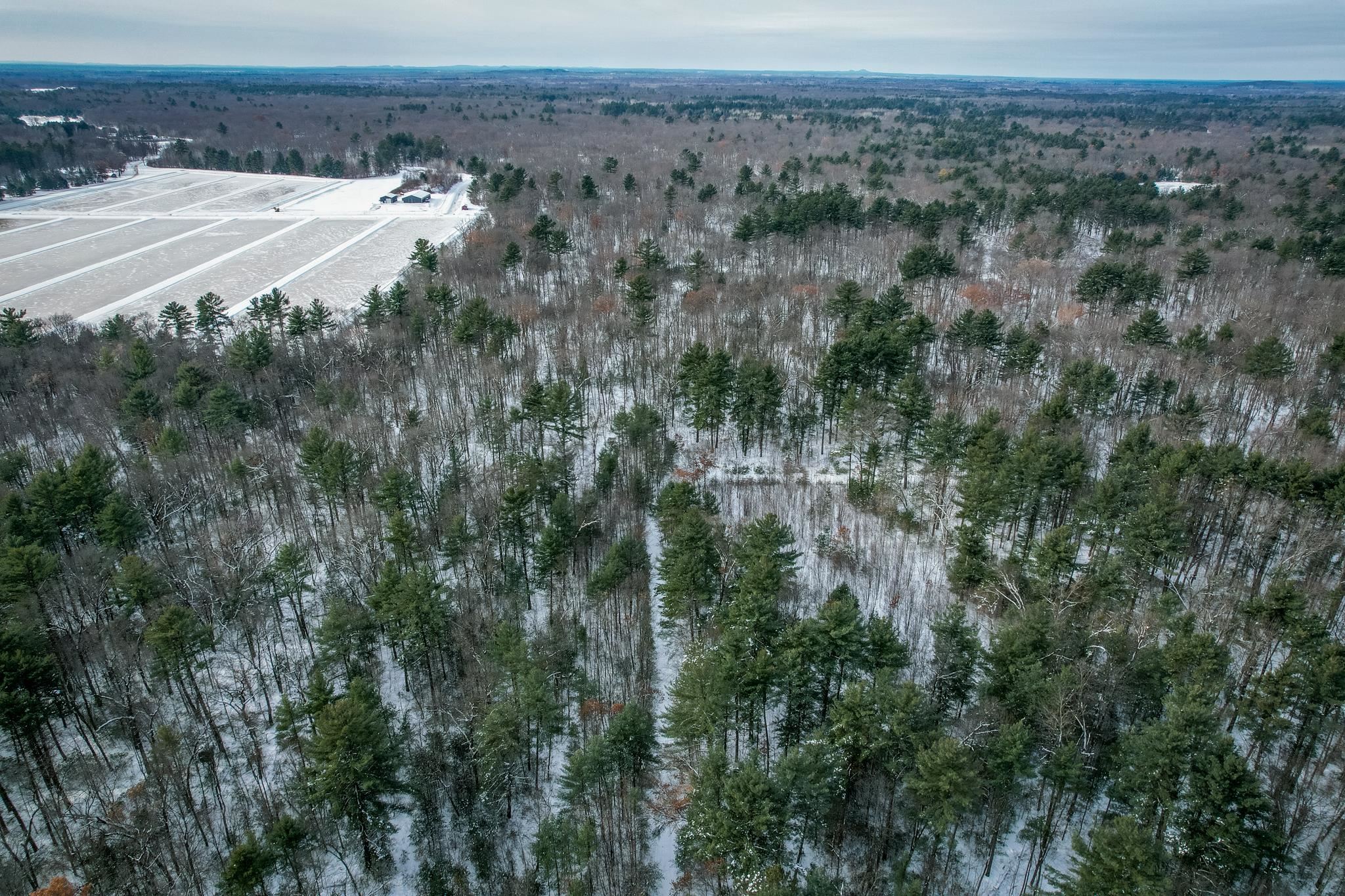 1007 Necedah Road Babcock, WI 54413 - Photo 39 of 51