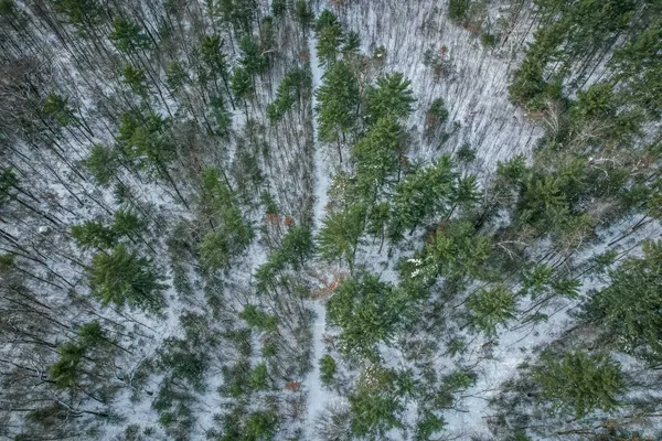 $227,900 | 1007 Necedah Road, Babcock, WI 54413