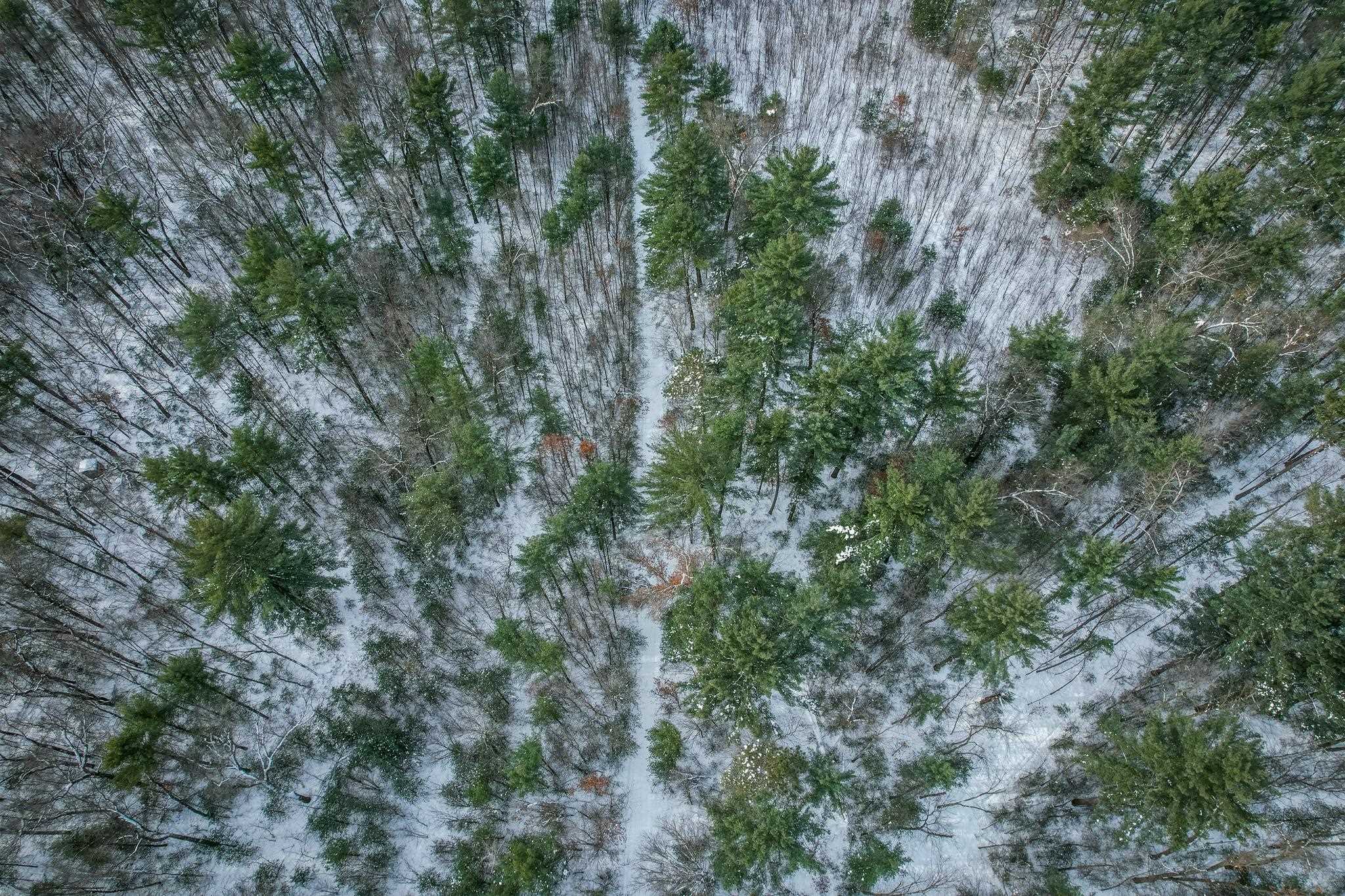 1007 Necedah Road Babcock, WI 54413 - Photo 40 of 51