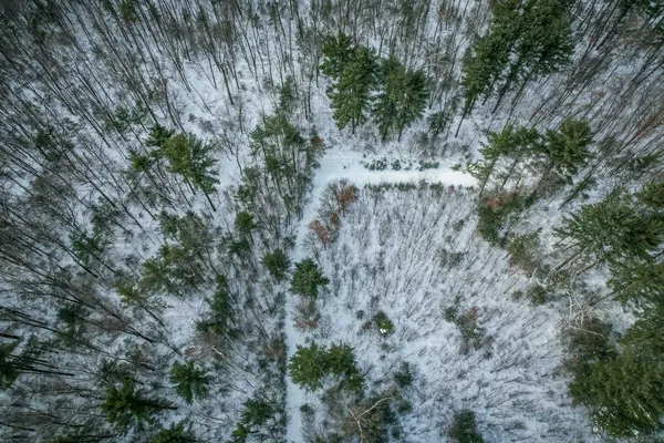 $227,900 | 1007 Necedah Road, Babcock, WI 54413