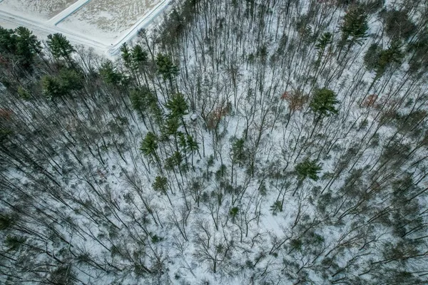 $227,900 | 1007 Necedah Road, Babcock, WI 54413