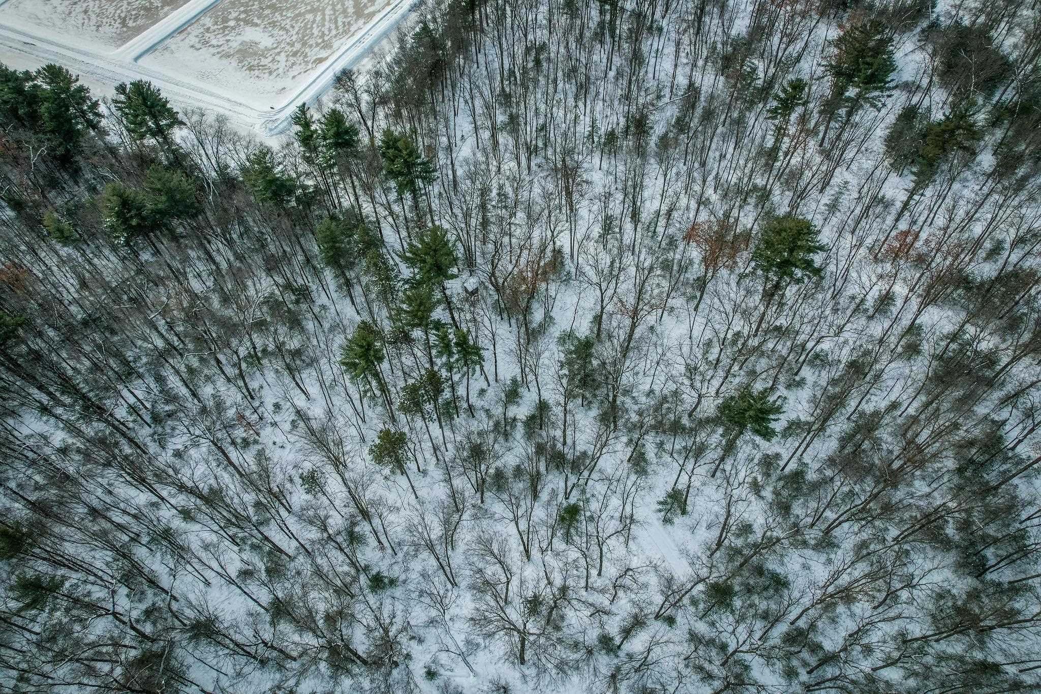 1007 Necedah Road Babcock, WI 54413 - Photo 42 of 51