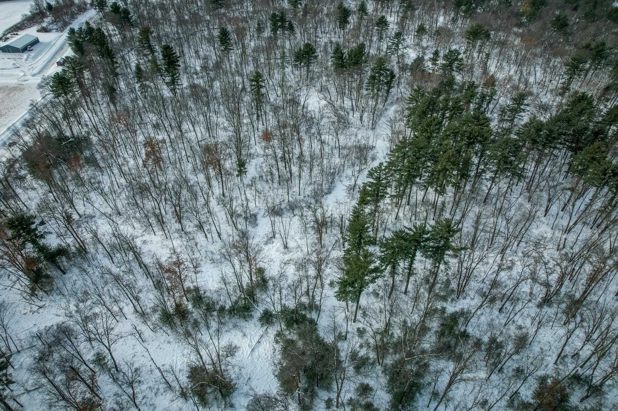 1007 Necedah Road Babcock, WI 54413 - Photo 44 of 51