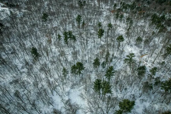 $227,900 | 1007 Necedah Road, Babcock, WI 54413