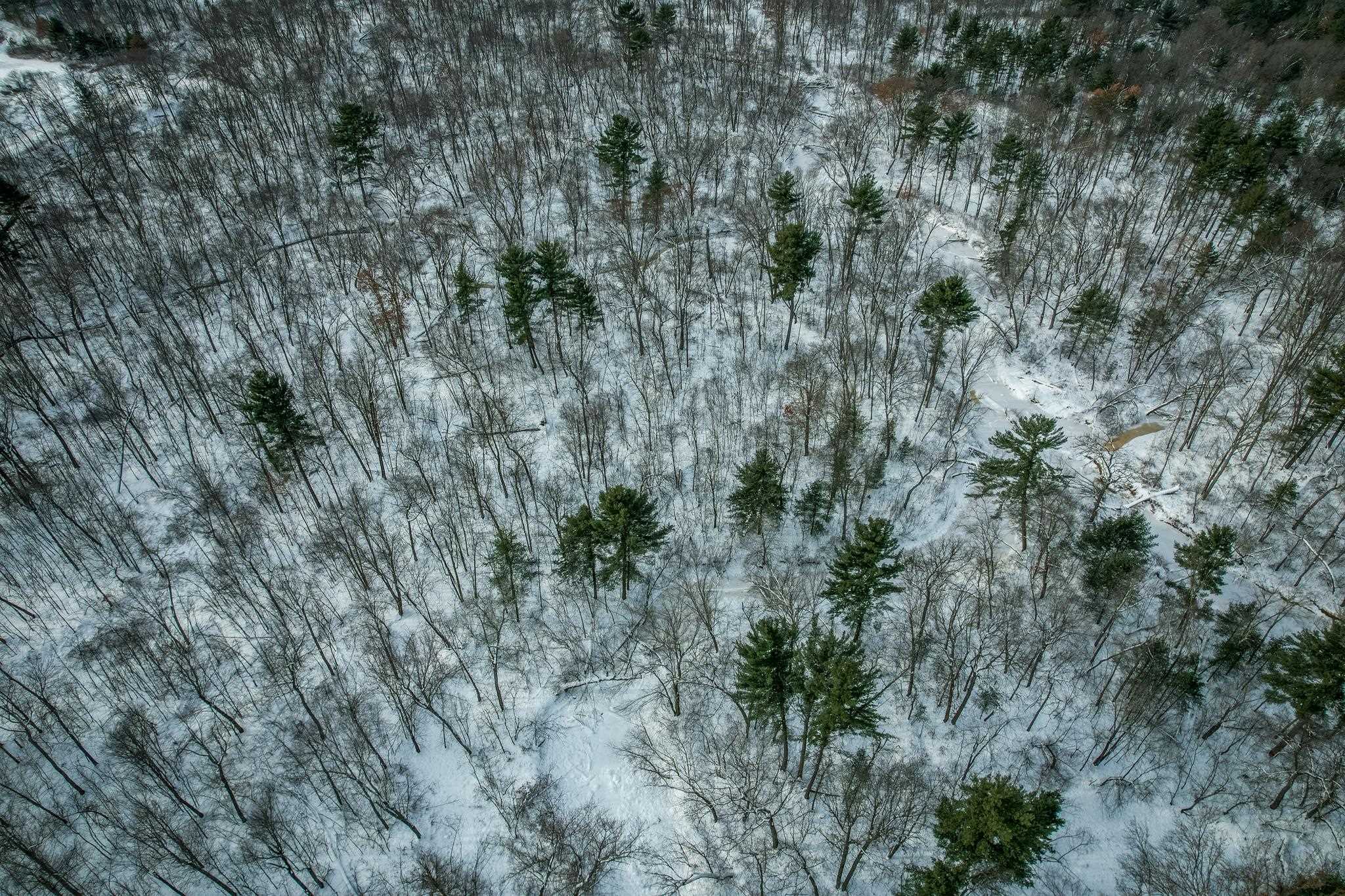 1007 Necedah Road Babcock, WI 54413 - Photo 45 of 51