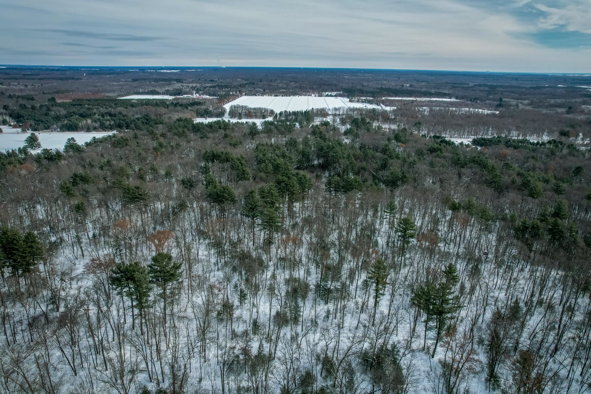 1007 Necedah Road Babcock, WI 54413 - Photo 47 of 51
