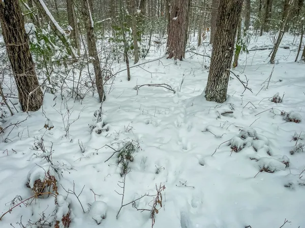 $227,900 | 1007 Necedah Road, Babcock, WI 54413