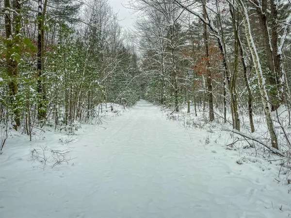 $227,900 | 1007 Necedah Road, Babcock, WI 54413