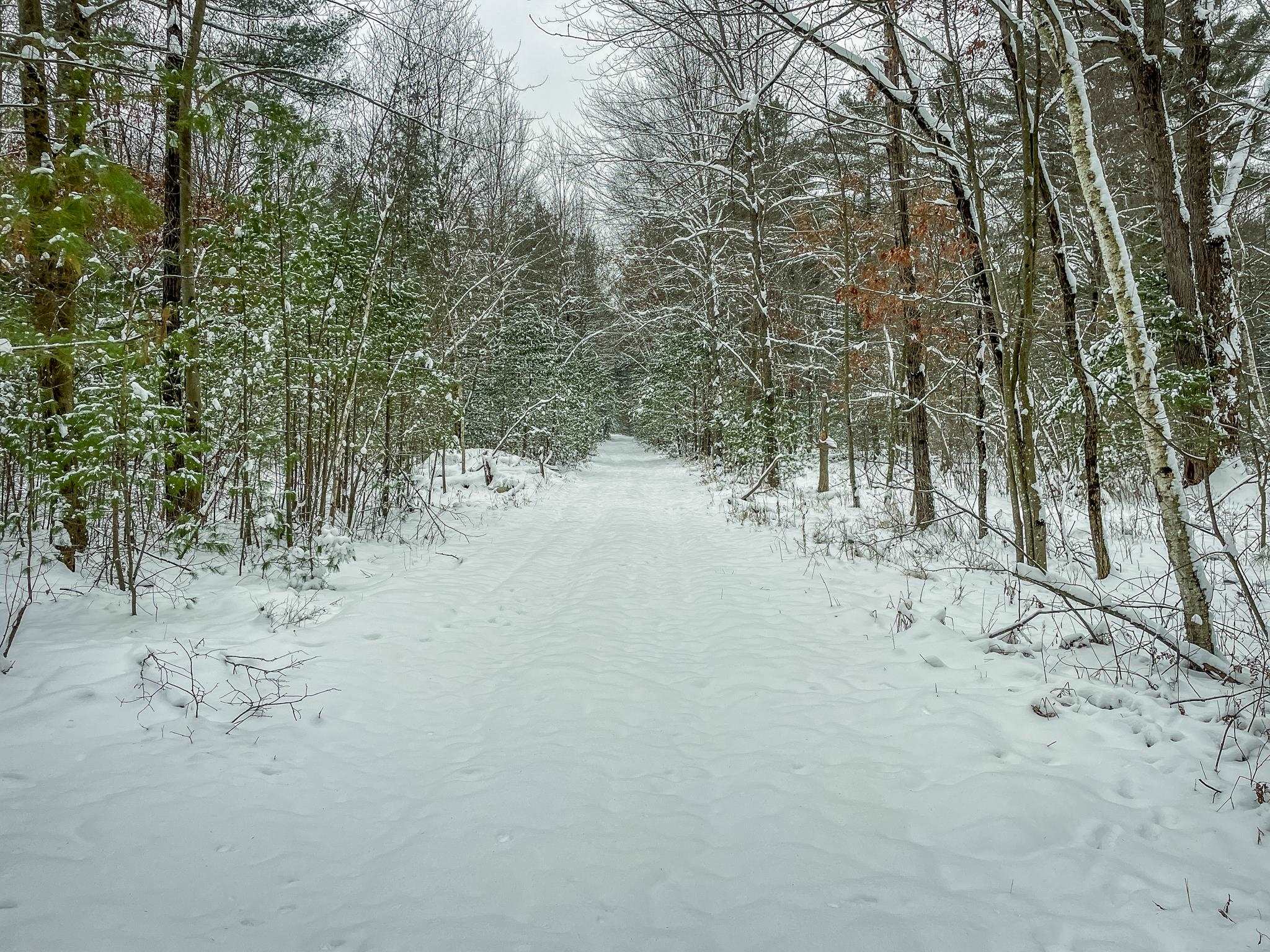 1007 Necedah Road Babcock, WI 54413 - Photo 6 of 51