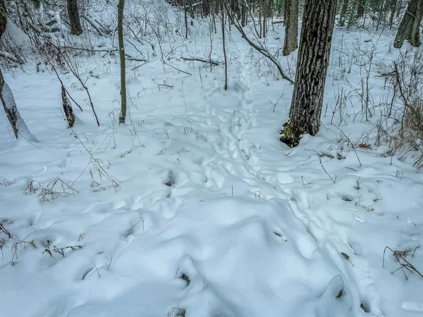 $227,900 | 1007 Necedah Road, Babcock, WI 54413