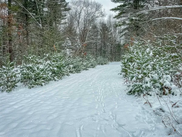 $227,900 | 1007 Necedah Road, Babcock, WI 54413