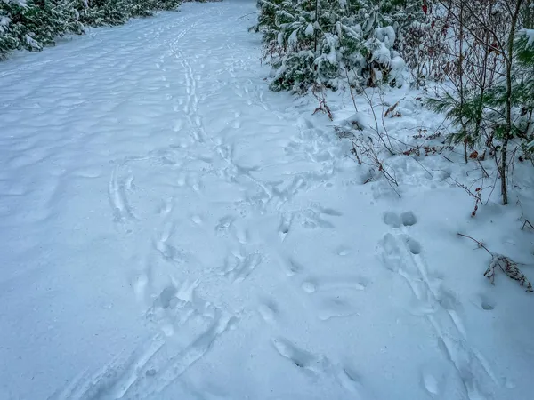 $227,900 | 1007 Necedah Road, Babcock, WI 54413