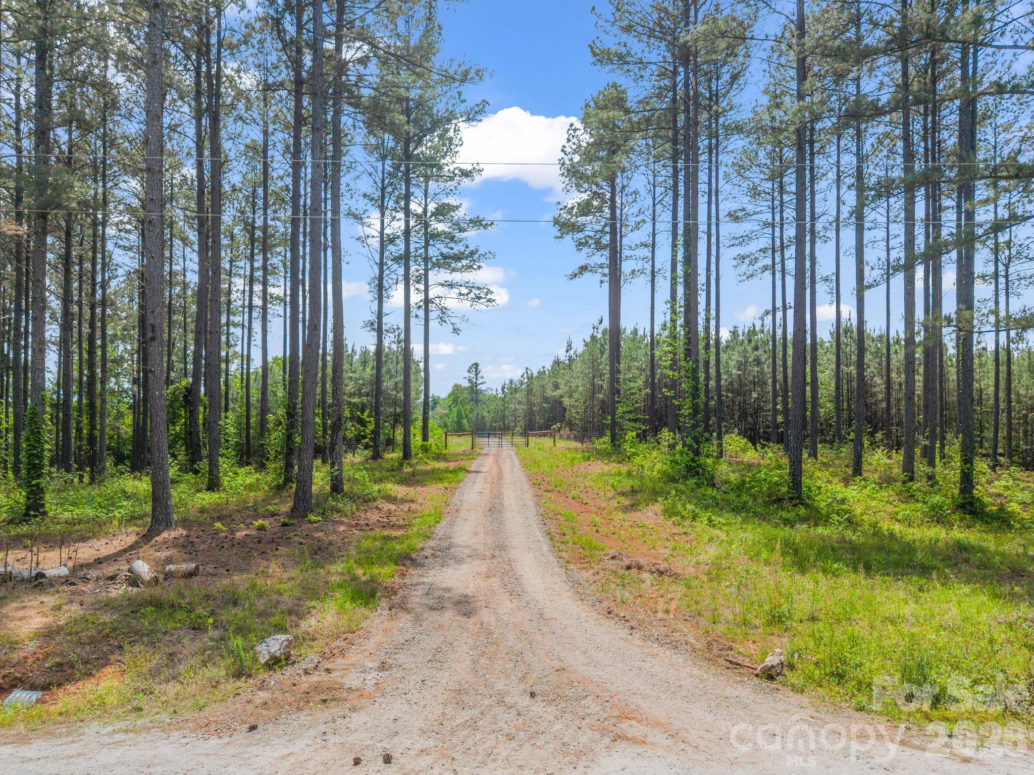 0 Romey Campbell Road Ellenboro, NC 28040 - Photo 1 of 41