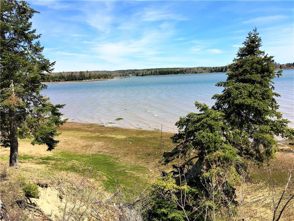 386 Pineo Point Road Harrington, ME 04643 - Photo 12 of 35 Your waterfront...this is about 1/2...