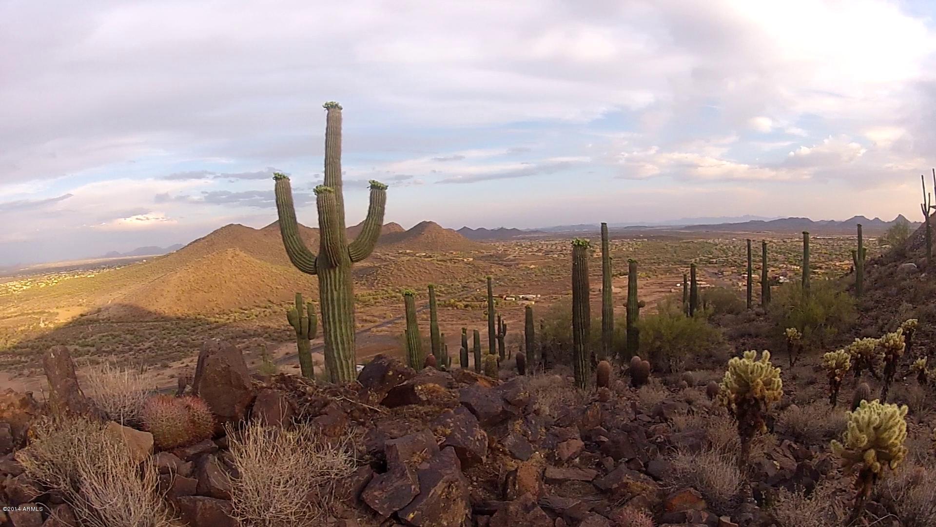2900 Carlise Road Phoenix, AZ 85086 - Photo 1 of 18 1