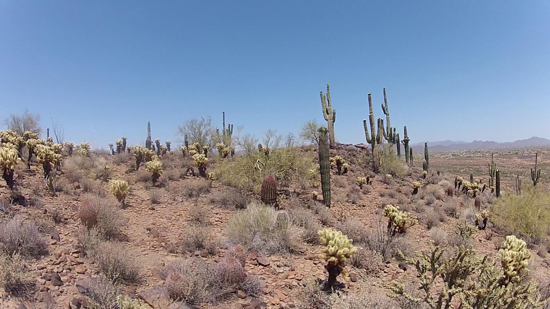 2900 Carlise Road Phoenix, AZ 85086 - Photo 5 of 18 5