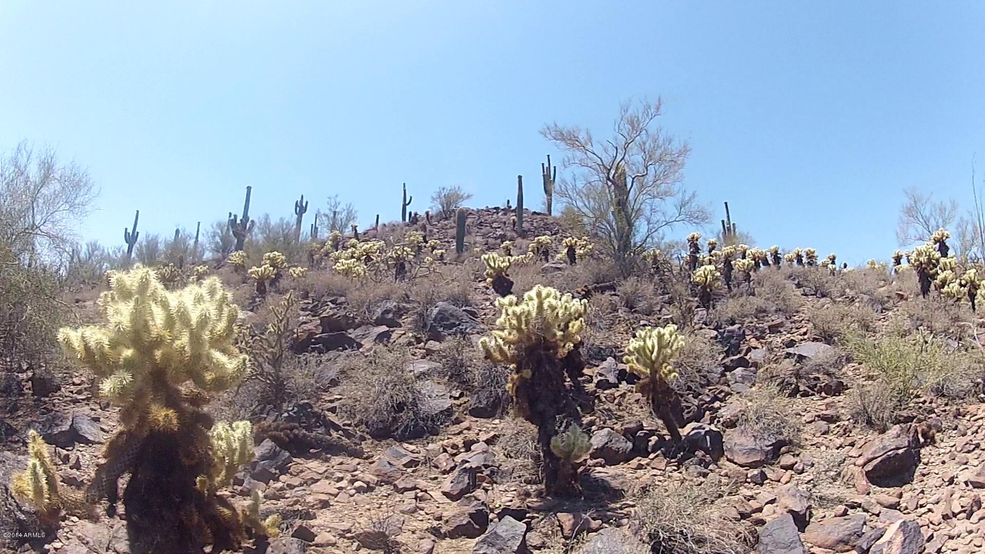 2900 Carlise Road Phoenix, AZ 85086 - Photo 8 of 18 8