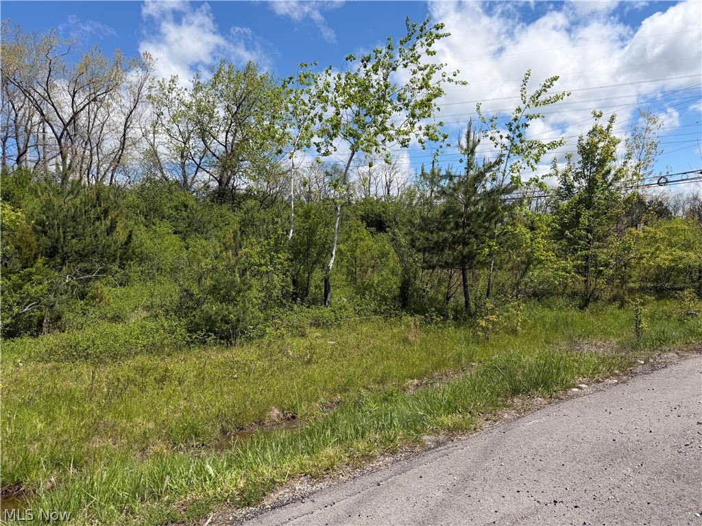 V/l West Edgerton Road Broadview Heights, OH 44147 - Photo 5 of 5 Street view of wooded land parcel featuring a mix of mature trees and varied green foliage, bordering a paved road