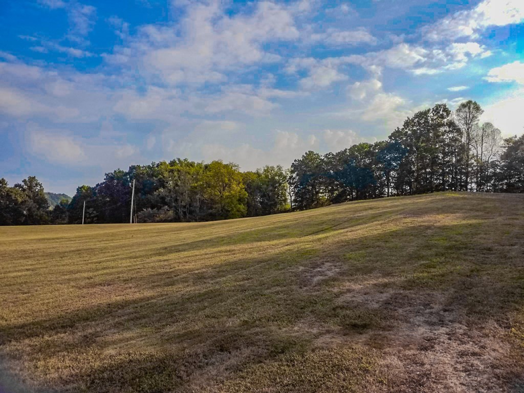 143 Tranquility Ridge Drive Newport, TN 37821 - Photo 20 of 21 Gallery Image 20