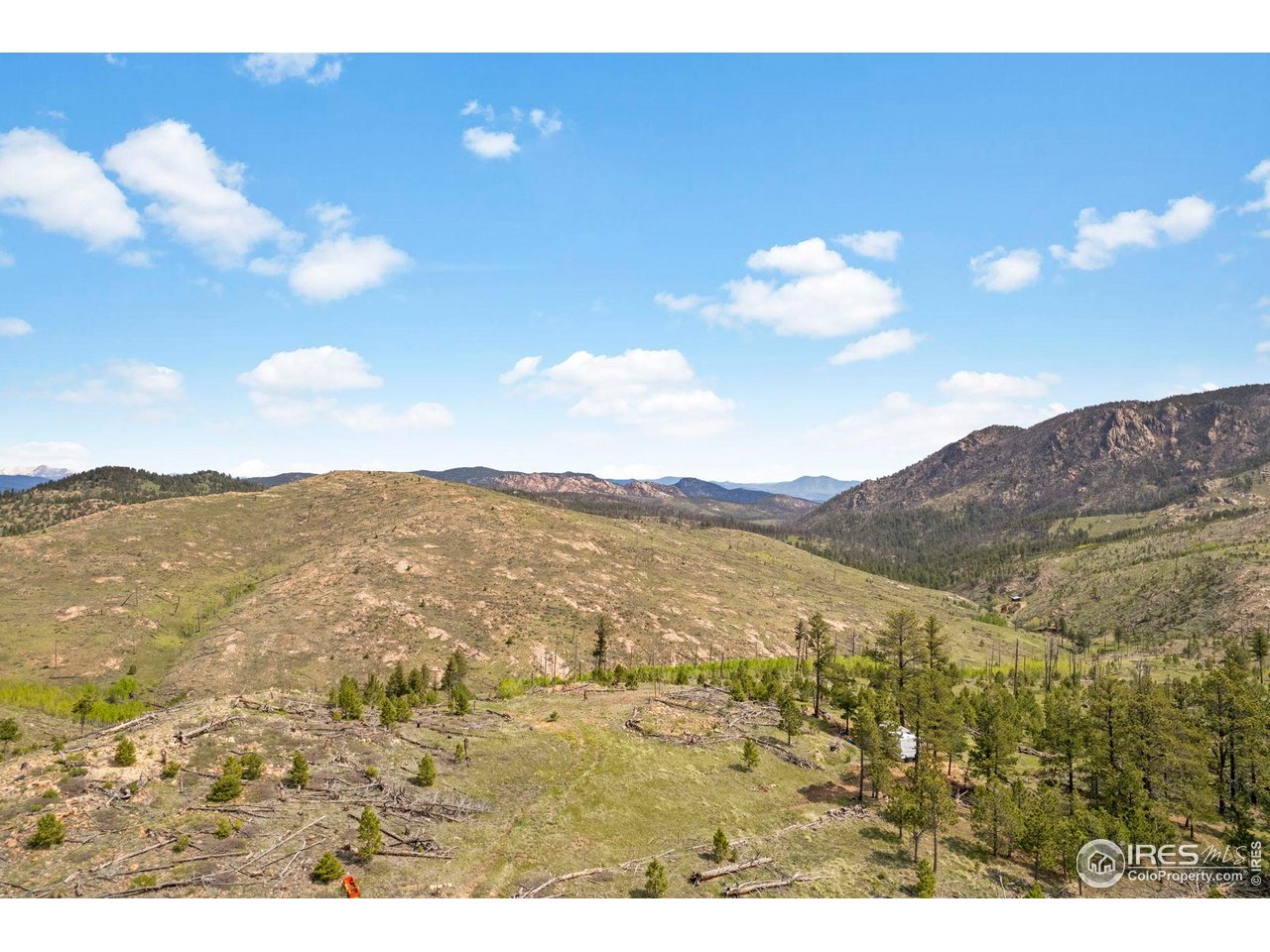 1009 County Road 87J Lyons, CO 80540 - Photo 15 of 29 a view of a sky