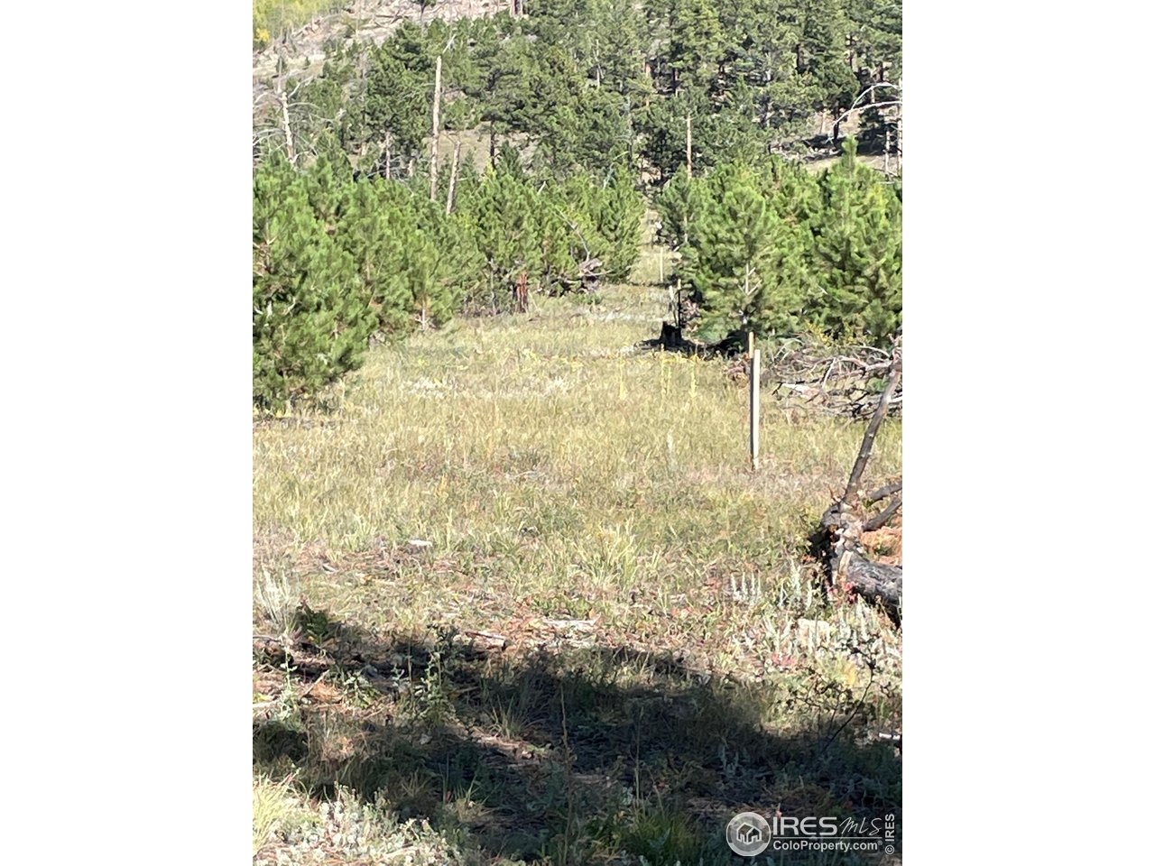 1009 County Road 87J Lyons, CO 80540 - Photo 23 of 29 a bathroom with a shower