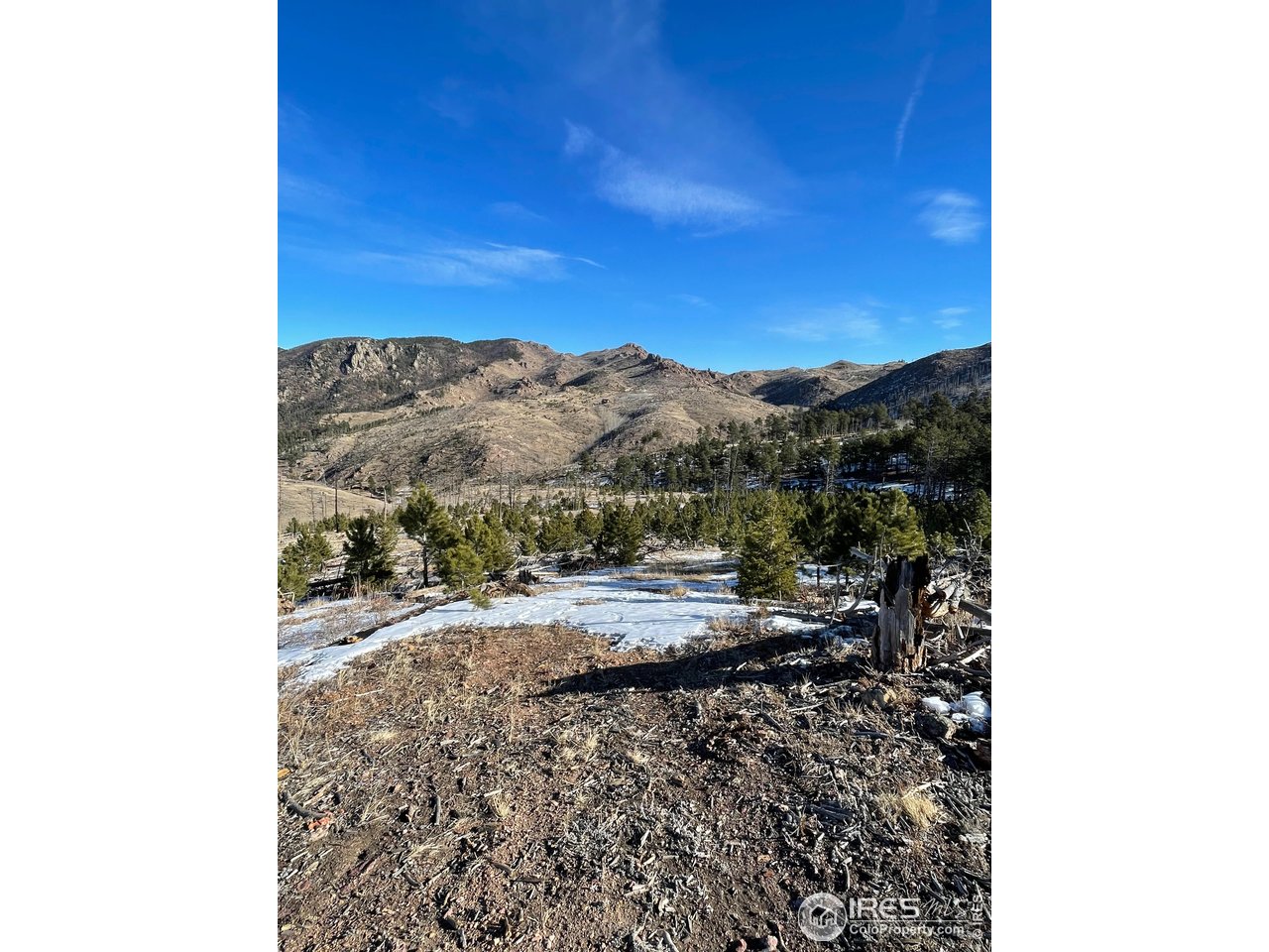 1009 County Road 87J Lyons, CO 80540 - Photo 25 of 29