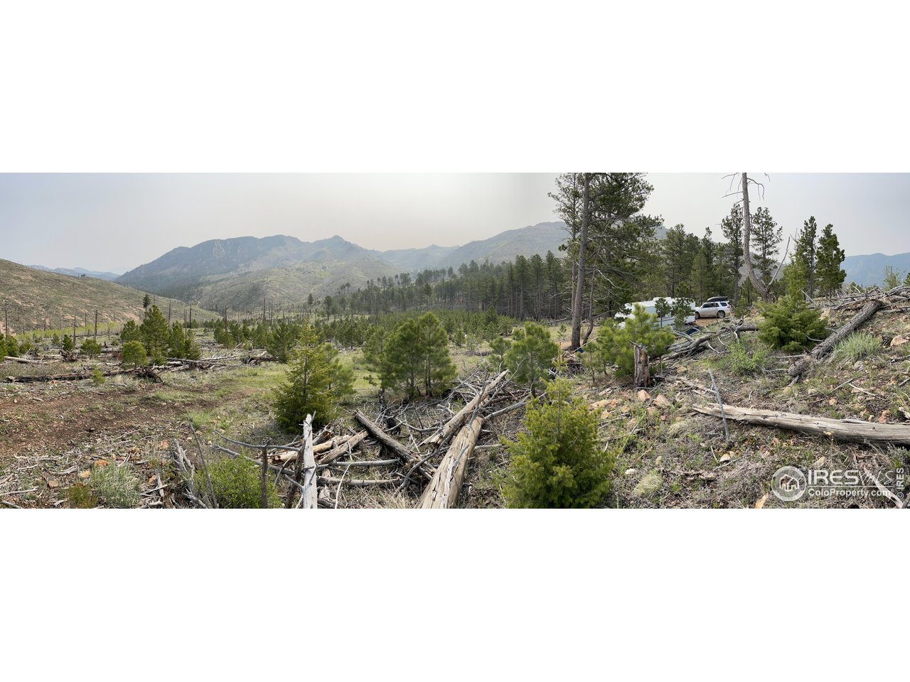 1009 County Road 87J Lyons, CO 80540 - Photo 28 of 29 a black and white photo of a house