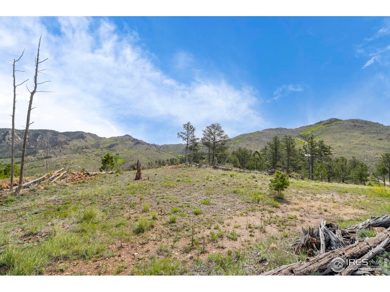 1009 County Road 87J Lyons, CO 80540 - Photo 5 of 29 a view of an outdoor space with mountain view