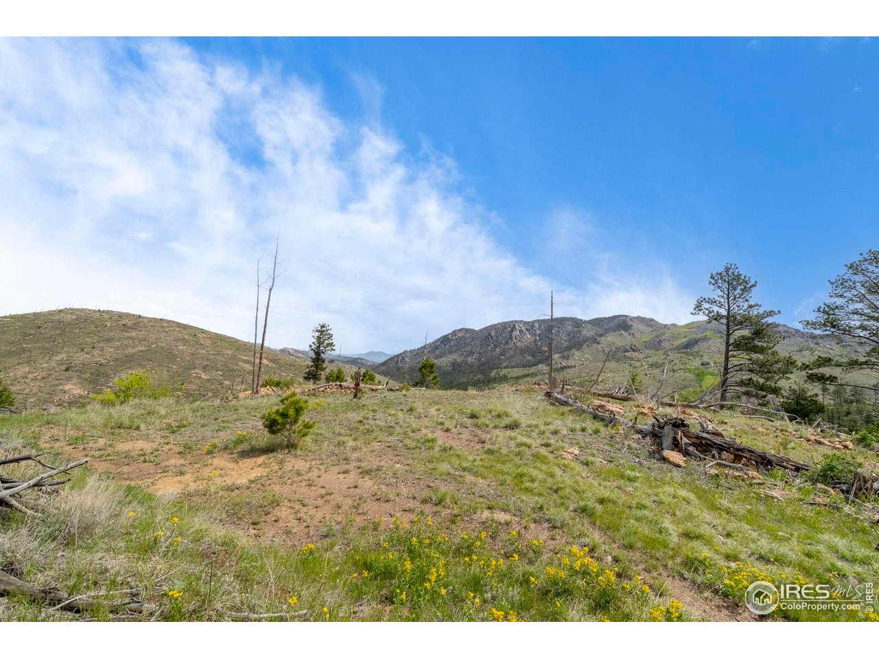 1009 County Road 87J Lyons, CO 80540 - Photo 6 of 29 a view of a dry yard with mountains in the background