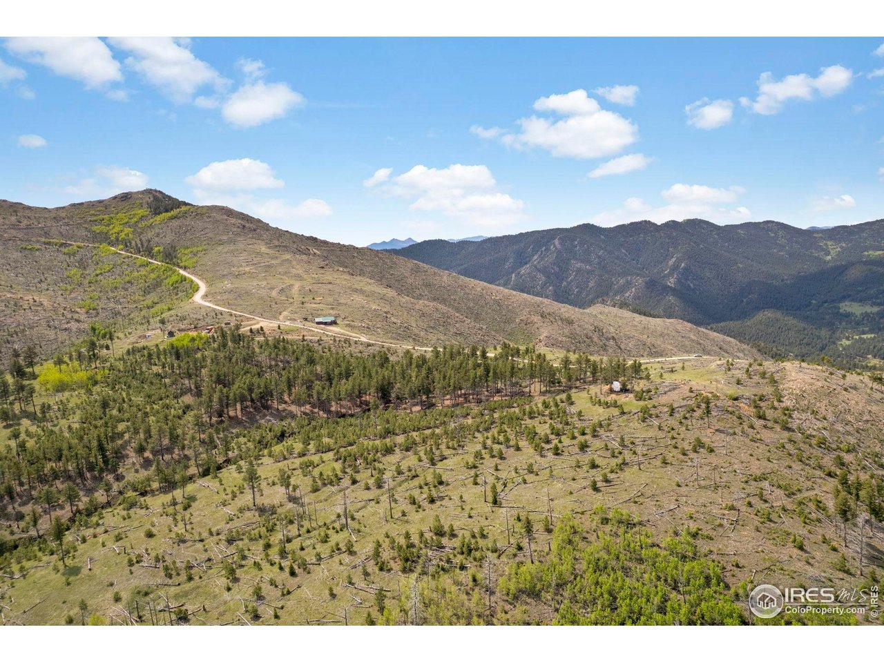 1009 County Road 87J Lyons, CO 80540 - Photo 8 of 29 a view of a sky