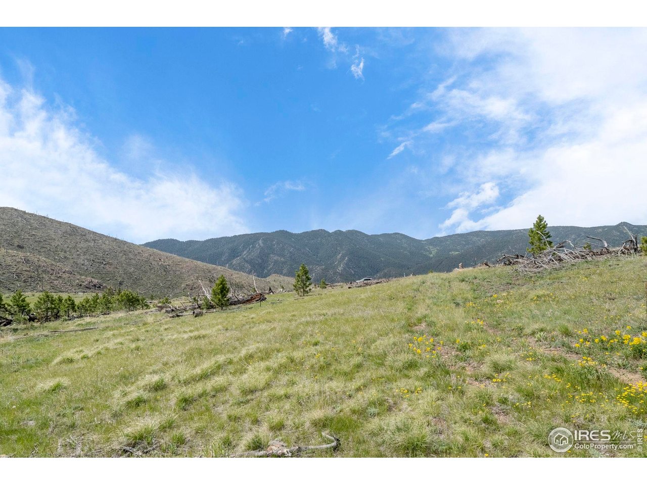 1009 County Road 87J Lyons, CO 80540 - Photo 9 of 29 a view of an outdoor space and mountains