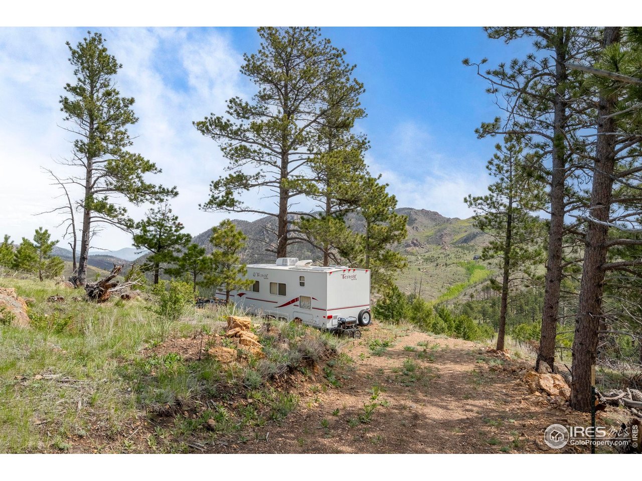 1009 County Road 87J Lyons, CO 80540 - Photo 10 of 29 a view of a yard with a tree
