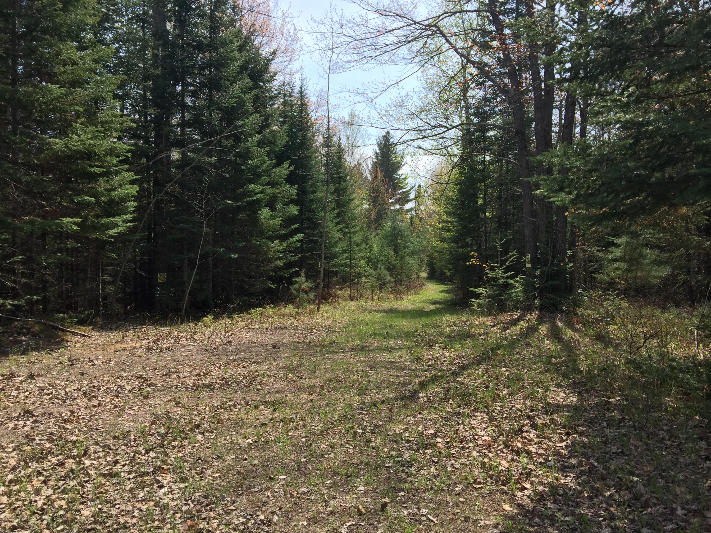 Neuman's Road Alpena, MI 49707 - Photo 1 of 9 Gallery Image 1