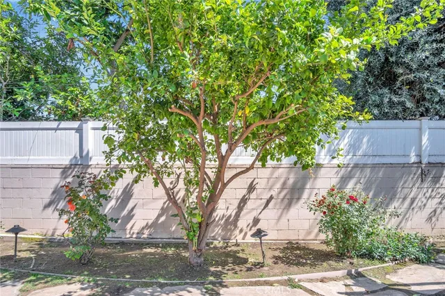 front view of a house with a tree