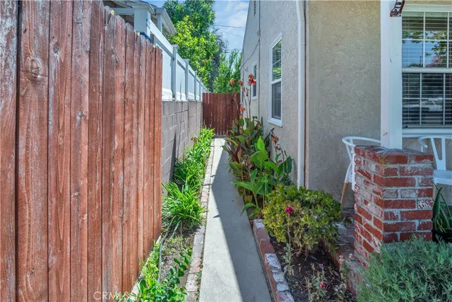 a view of a pathway with a plants