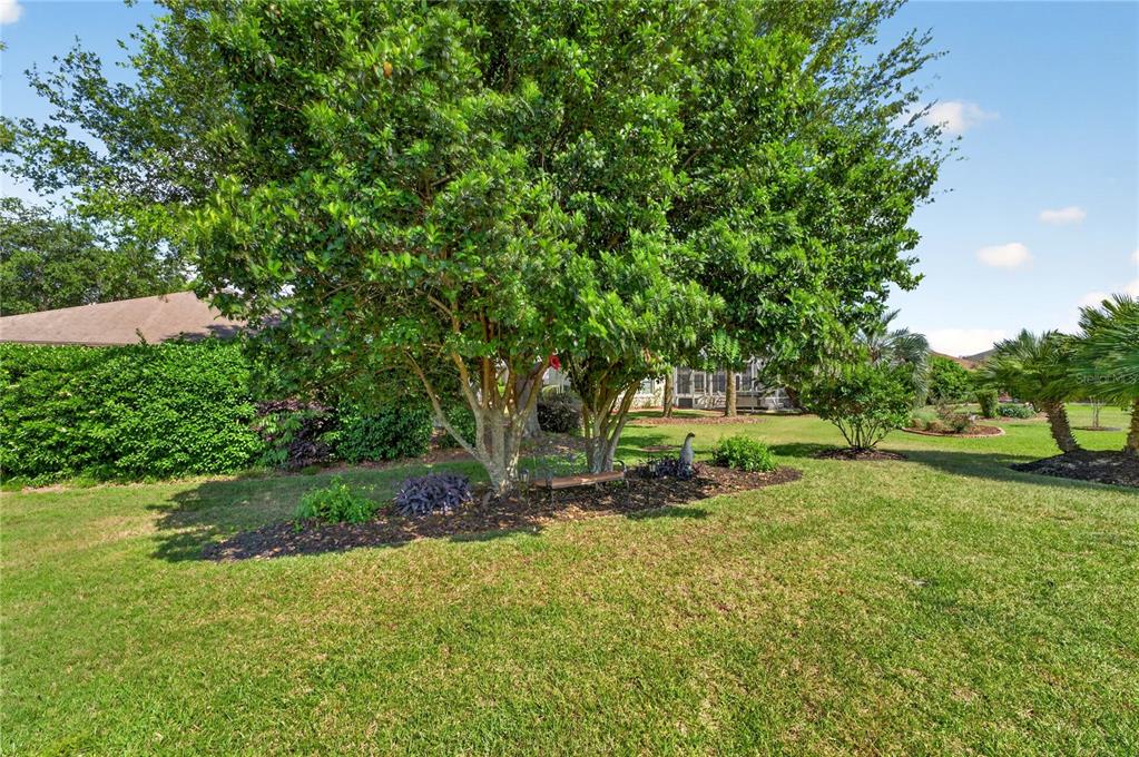 9082 Southeast 120th Loop Summerfield, FL 34491 - Photo 7 of 43