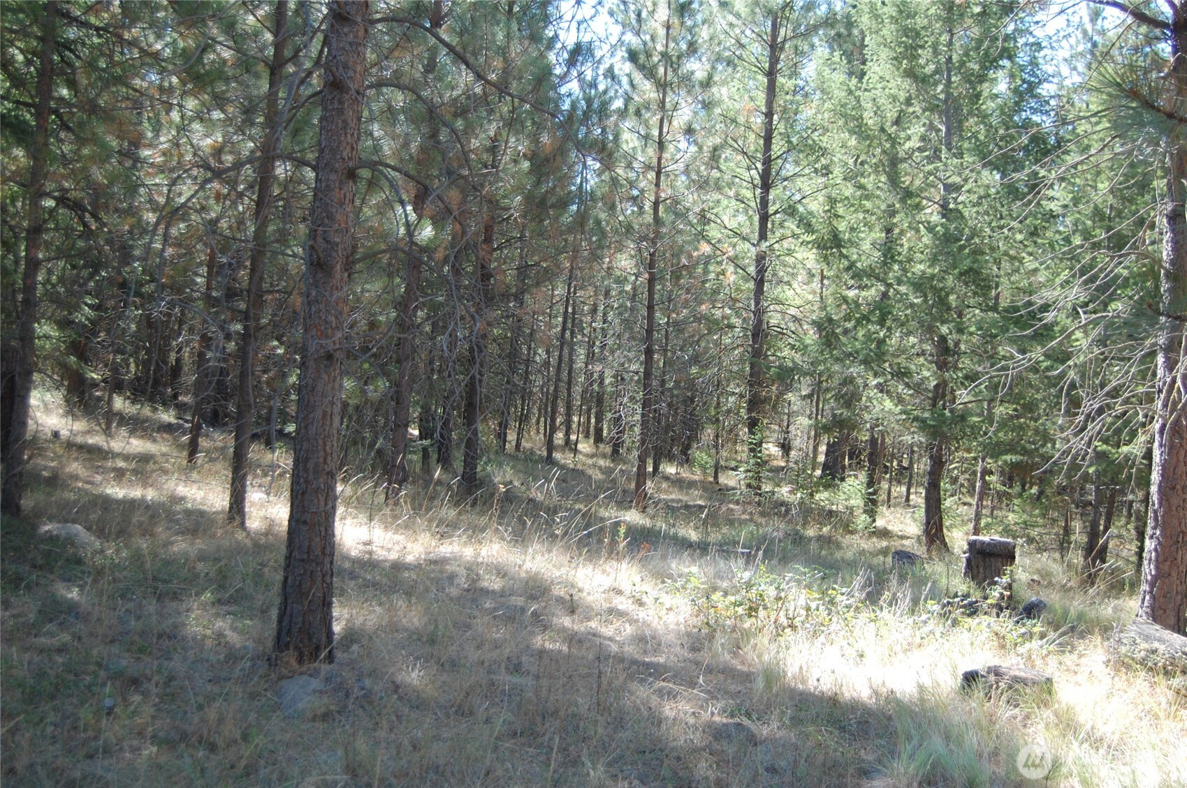 144 Chief Joseph Trail Riverside, WA 98849 - Photo 9 of 16 Gallery Image 9