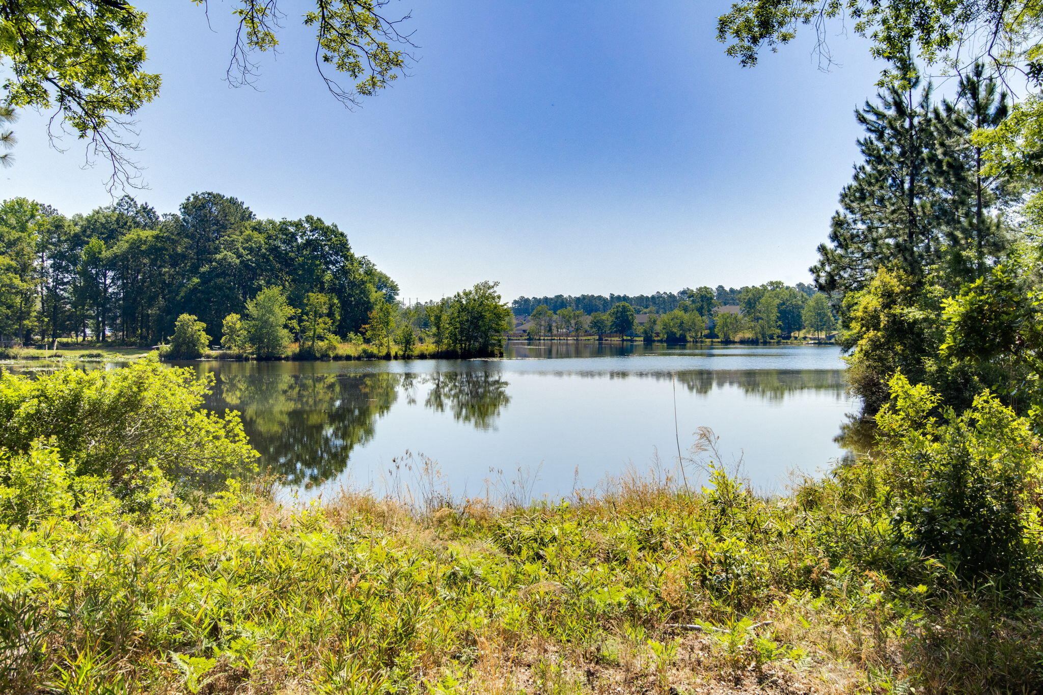 237 Shadowbrook Way Camden, SC 29020 - Photo 40 of 48 40-web-or-mls-2026 04 23 - 237 Shadowbro